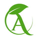 Avoreal Colombian Avocado Hass Exporter